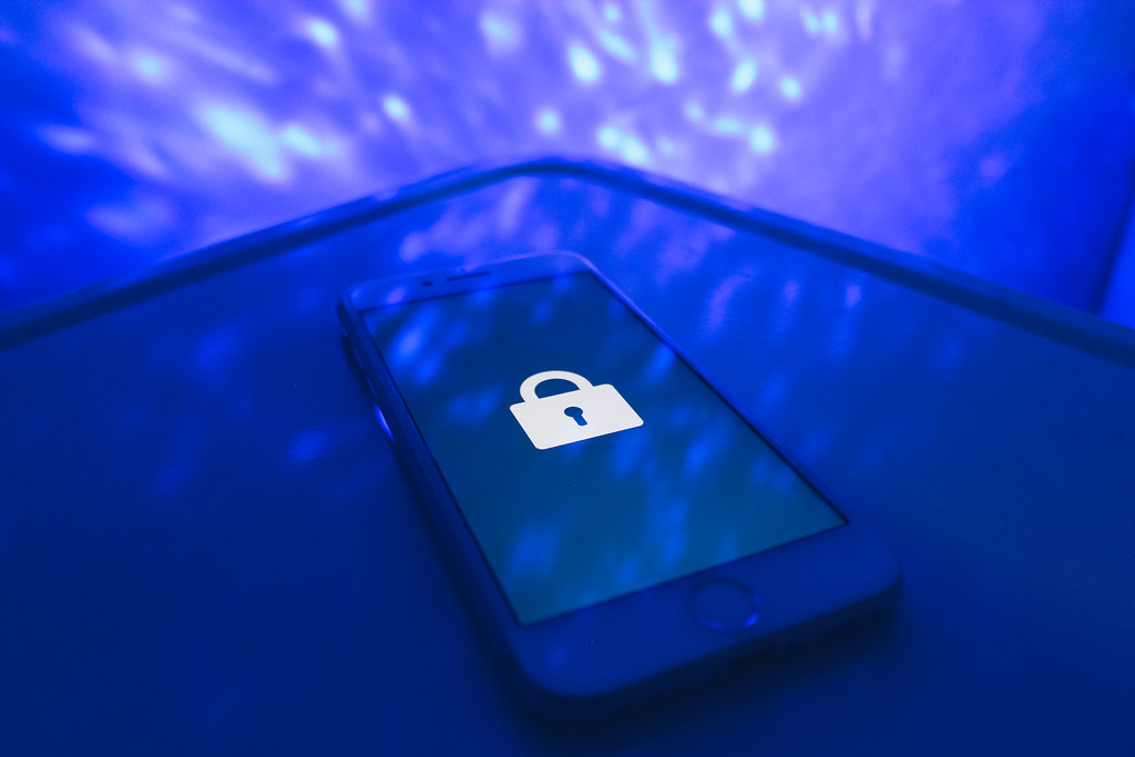 How Data Security Awareness is Supported by Indonesian Government