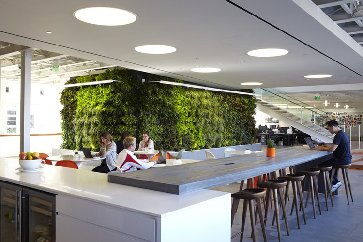 Modern Office Design Trends That Keep Employees Pleased