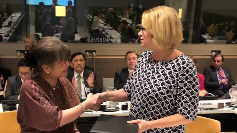 business advisory council undp invest indonesia startup business