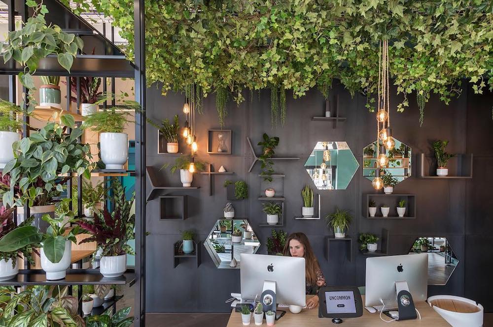 Coworking Space Design Trends to Watch Out Today