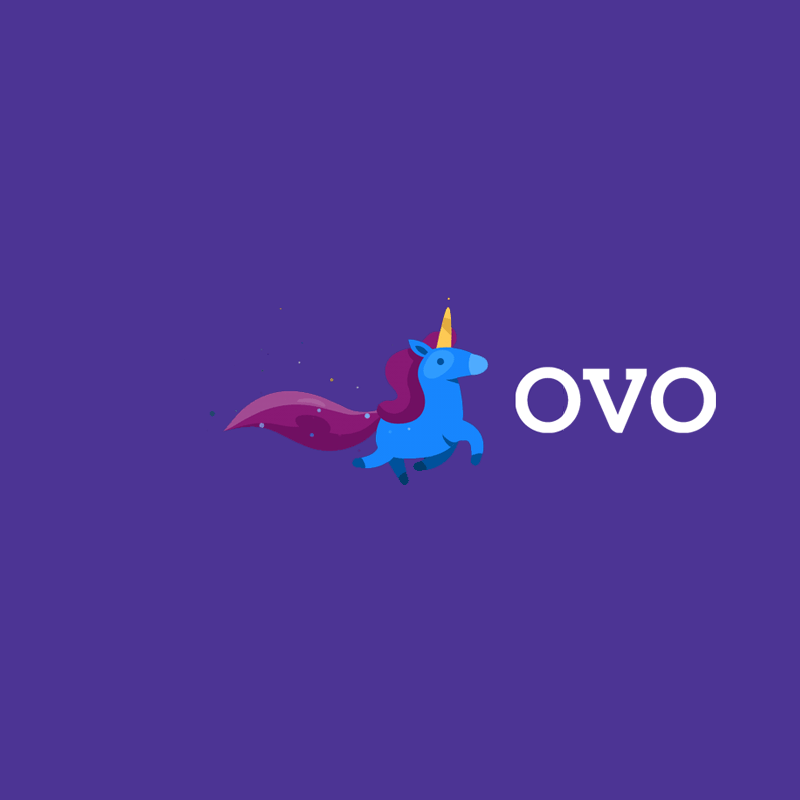 OVO Revealed the Main Challenges of Indonesian Startups
