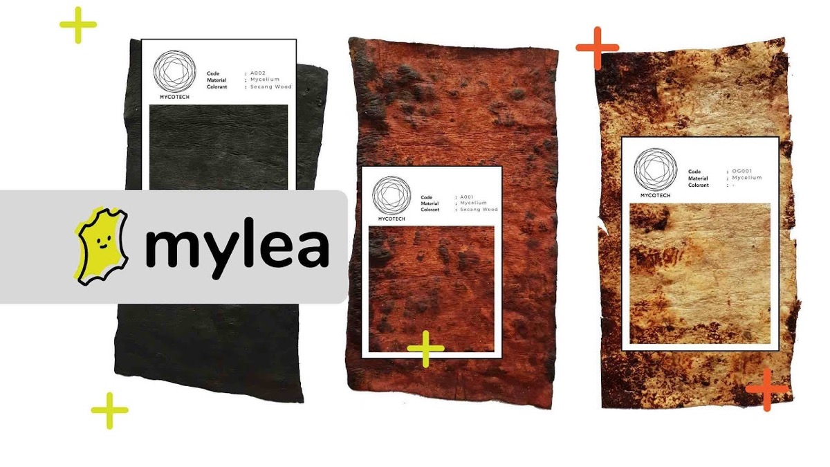 Indonesian Startup, Mycotech, Won the 2019 SEED Awards