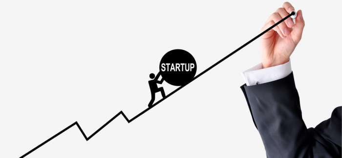 Why We Love Startup Business Today