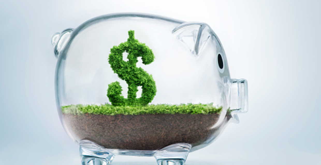 Building A Startup Company Is Never Been Easy