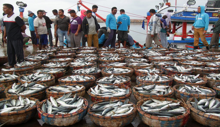 Aruna Fisheries Startup Will Raise Funding in 2020 to Expand