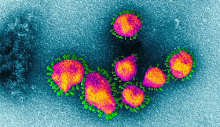 BlueDot Startup Claims They Have Predicted the Coronavirus Outbreak Late 2019