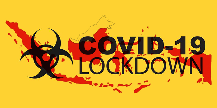 Lockdown and Corona Pandemic Assessed Favorable Two Startup Sectors