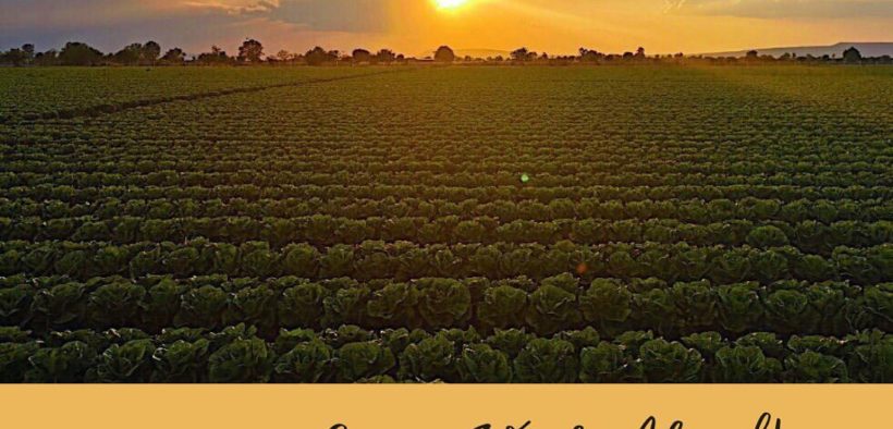 Global Supplier of Organic Farm - Avalon Fresh chooses Malaysia