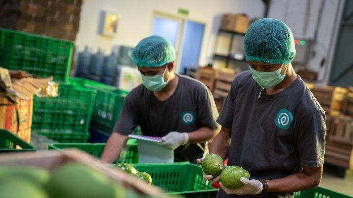 Opportunities for Farmers to Make Profit through Agritech Startups