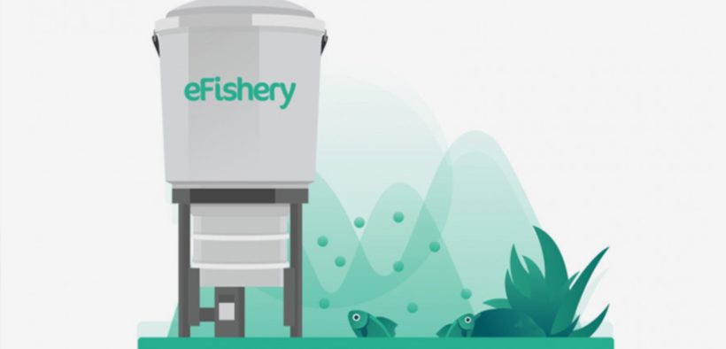 Investree and Startup eFishery Distribute IDR 30 Billion for Fish Farmers