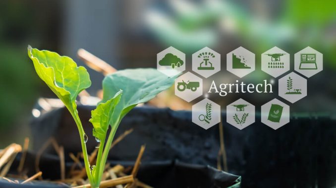 Agriculture and Fisheries (Agritech) Compete to Grab Investors’ Attention