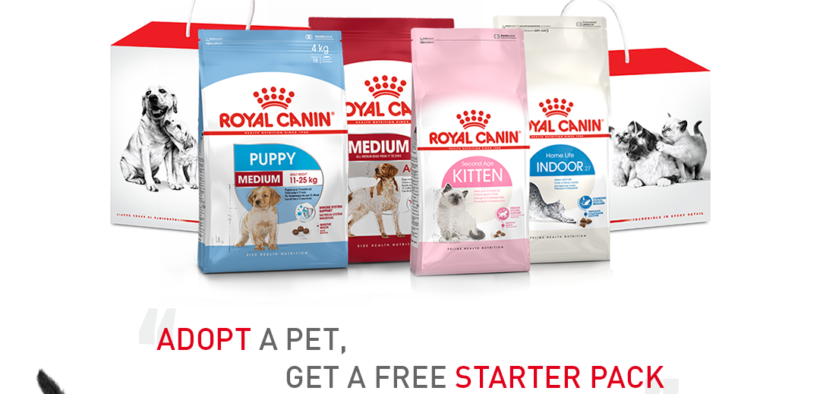 Royal Canin Malaysia and PetFinder.my launches campaign to encourage pet adoption.